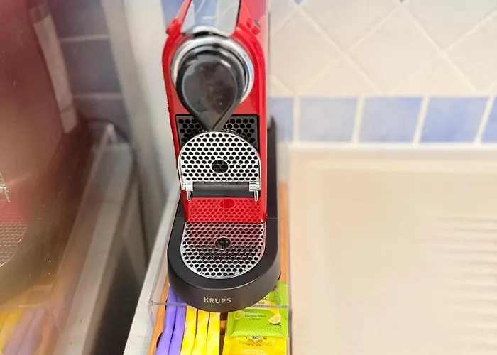 Les 3 Iles 2 Pieces Climatise A 50 M Des Plages アパート