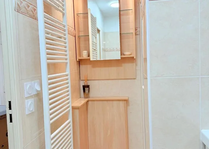 Les 3 Iles 2 Pieces Climatise A 50 M Des Plages アパート